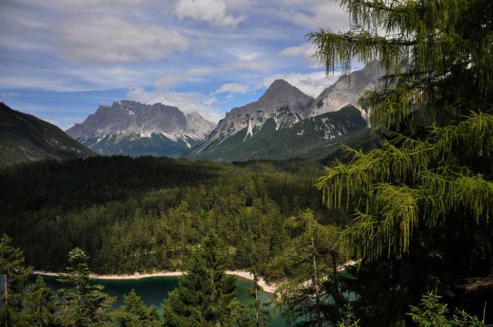 上奥地利州锯木厂面临原木短缺：树皮甲虫减少反而导致供应紧张(图2)