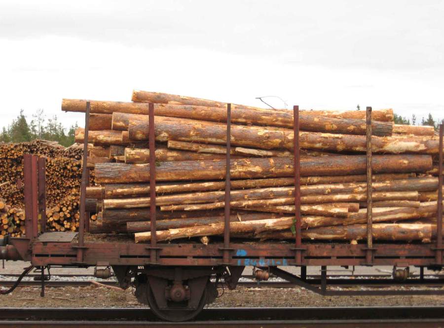 欧洲木材供应收紧对中国进口影响加剧(图1)