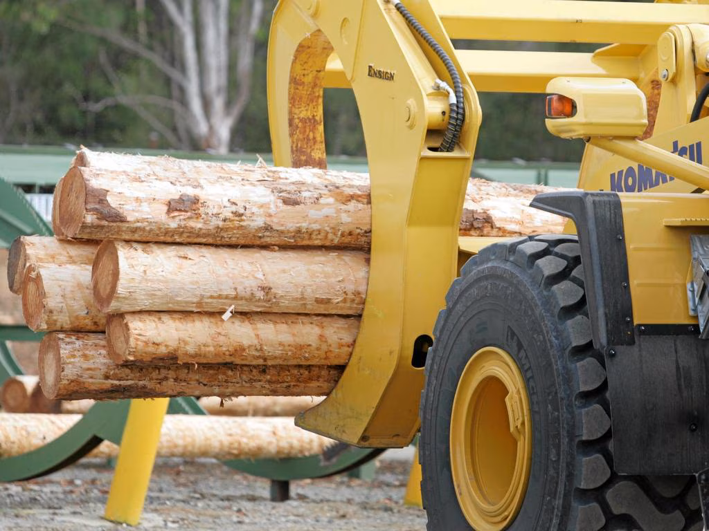 新西兰木材工业遭遇重创 胶合板工厂关闭威胁数百就业岗位(图2)