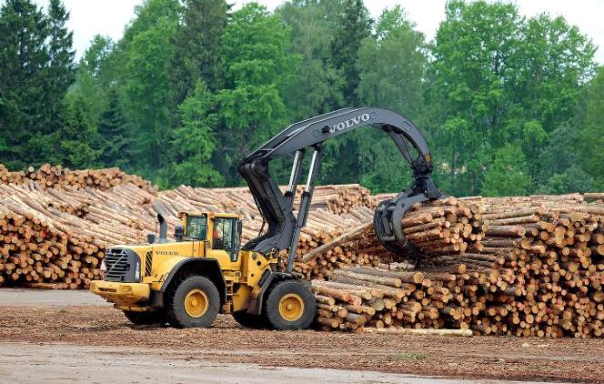 欧洲木材供应收紧对中国进口影响加剧(图3)