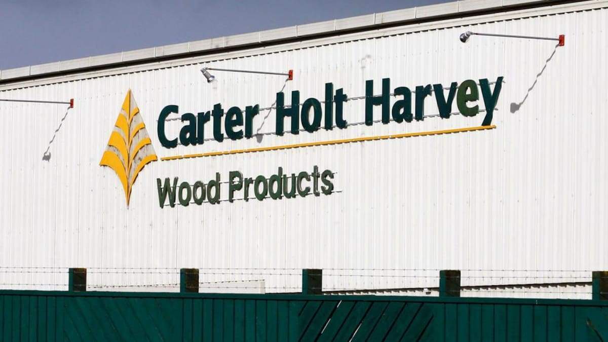 新西兰木材工业遭遇重创 胶合板工厂关闭威胁数百就业岗位(图1)