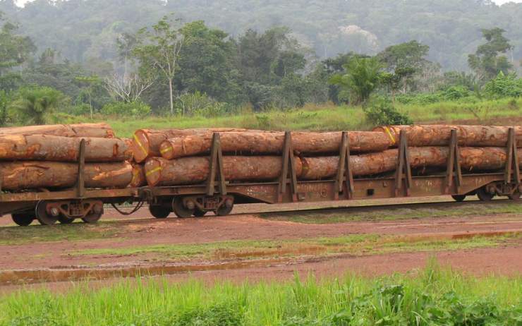 加蓬木材出口面临监管升级 供应链挑战加剧成本压力(图2)