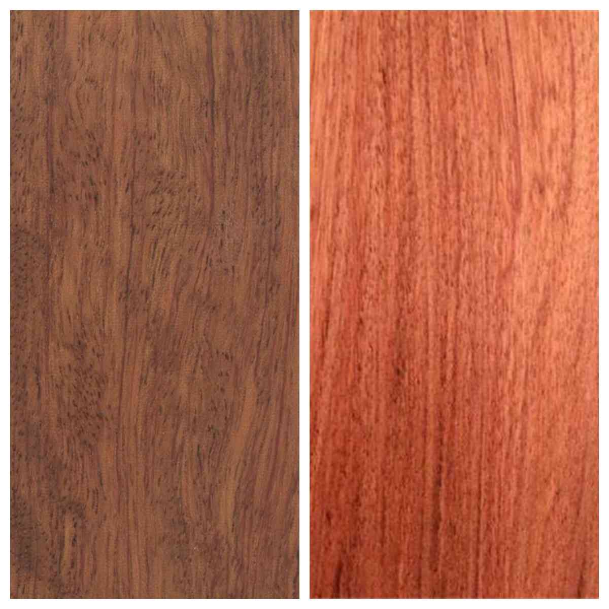 大巴花与小巴花的区别详解，教你精准识别名贵硬木(图1)