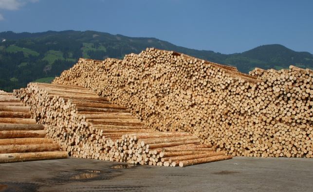 2025年英国木材进口量下滑3% 工程木制品逆势增长(图1)