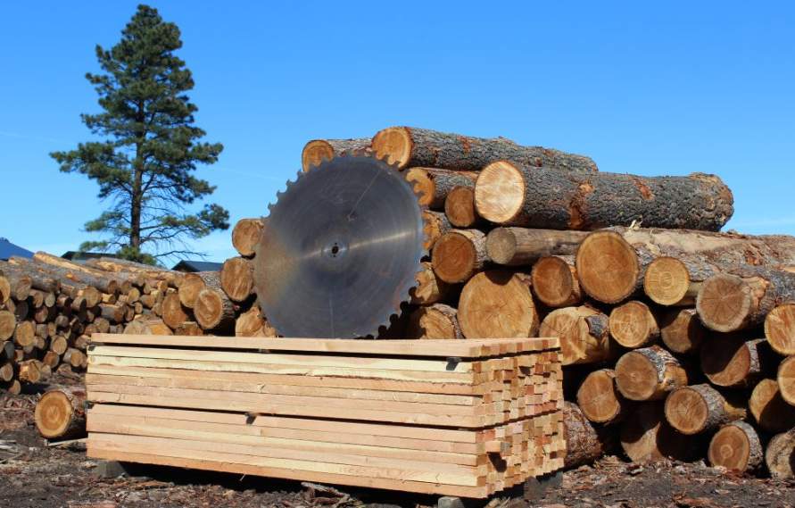 木材价格暴跌25% 主要厂商纷纷减产应对市场寒冬(图2)