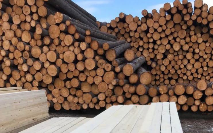 俄罗斯最大木材集团因亚洲需求疲软大规模裁员(图2)