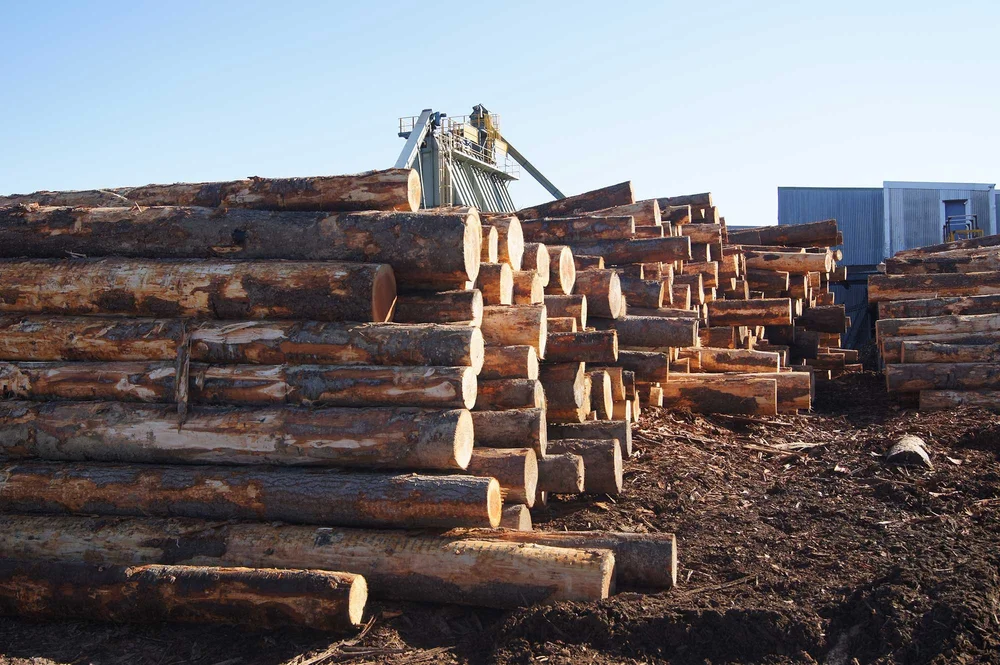 新西兰木材行业启动十年翻番计划 大力发展增值加工产品(图1)