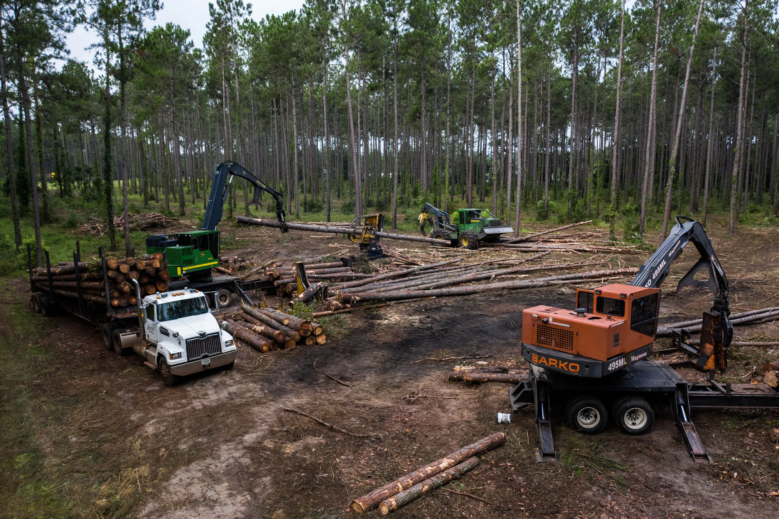 美国西部野火危机加剧 联邦政府应如何平衡防火与生态保护(图2)