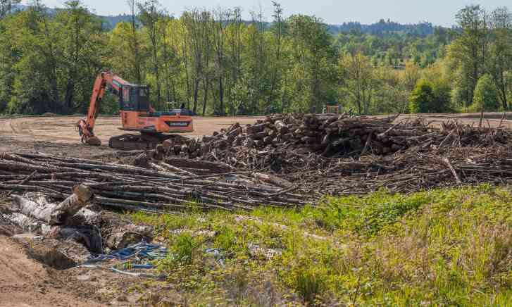 中国进口波兰木材量缩价升 结构性变化明显(图1)