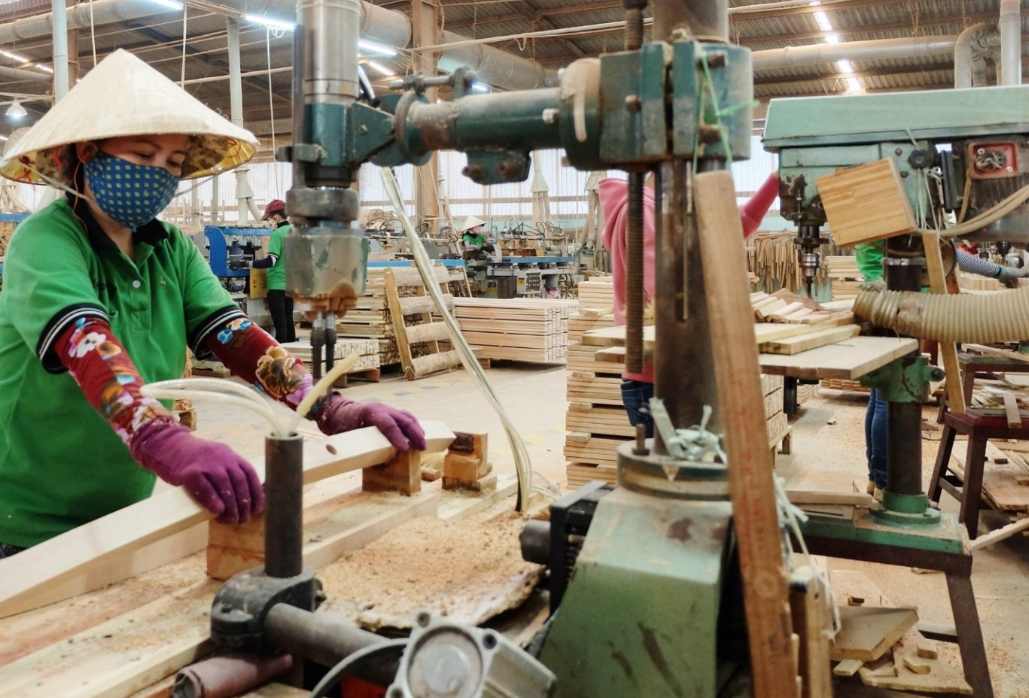越南木材出口持续增长 企业积极应对贸易挑战寻求多元化发展(图3)