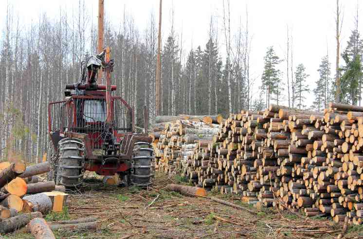 欧盟零毁林法案实施在即 全球林业企业供应链透明度堪忧(图1)