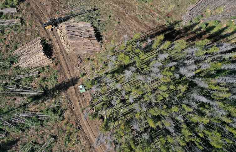 欧盟零毁林法案实施在即 全球林业企业供应链透明度堪忧(图3)