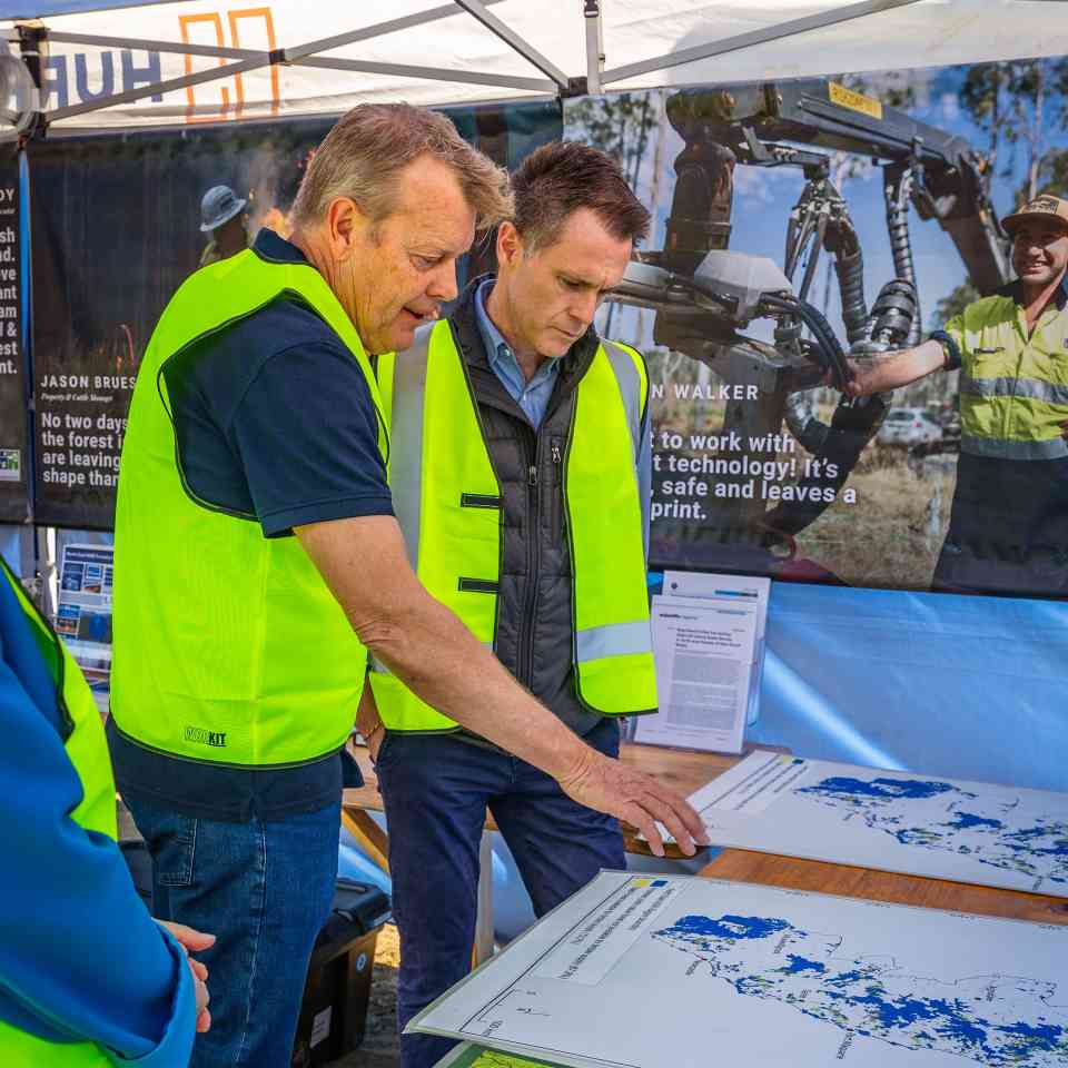 澳洲新南威尔士州建大考拉国家公园保护濒危物种(图1)