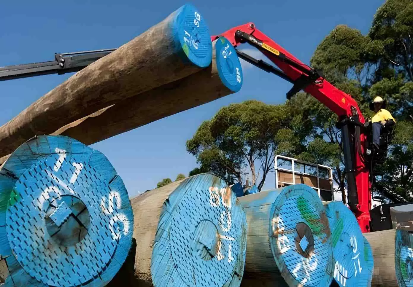 澳洲新南威尔士州建大考拉国家公园保护濒危物种(图2)