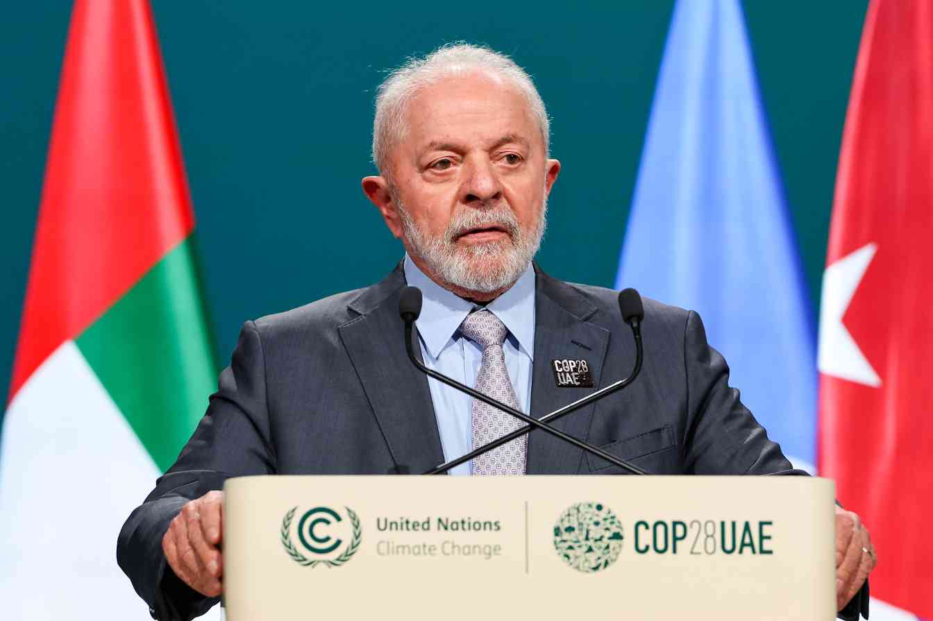 森林的最后防线：为何木材公司仍未准备好迎接EUDR？(图2)