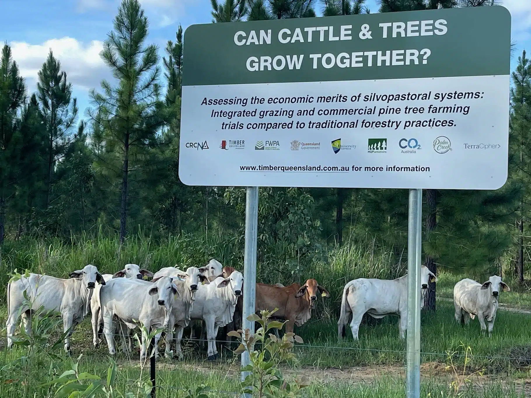 碳信用新方向：澳大利亚研究发现造林管理比保护更能固碳(图1)