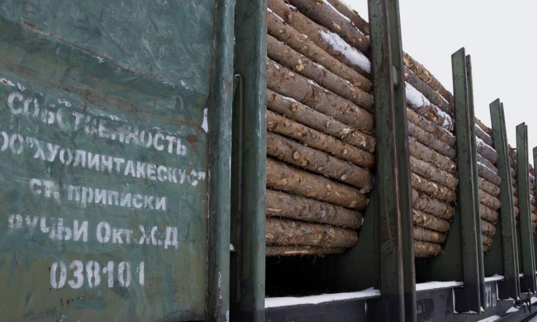 中国10.9%增长也救不了？俄木材商最大金主市场正被“低价抢占”！(图1)