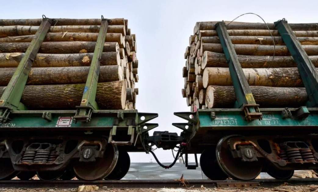 中国10.9%增长也救不了？俄木材商最大金主市场正被“低价抢占”！(图3)