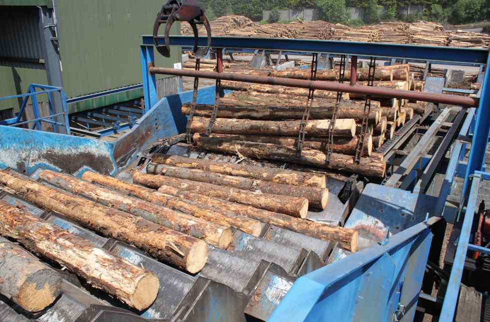 斥资1.15亿！这地将建造新锯木厂，提供130个就业岗位(图2)