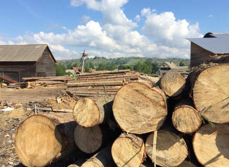 非法采伐致这地经济损失约840万！多名人员被调查起诉！(图4)