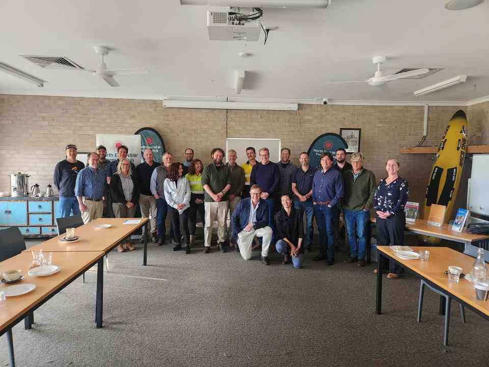 从公共森林到人工林：新州东北部木材产业如何应对供应缩减挑战？(图2)