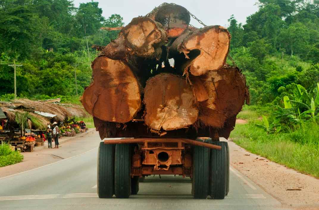 中国采购暂停+大选变局，非洲木材重要来源国“踩刹车”？(图3)