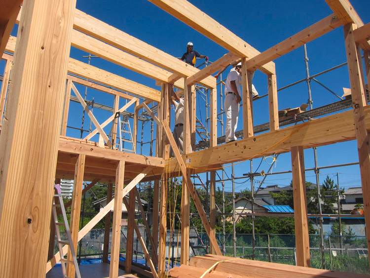 日本木结构建筑兴起：中层与高层木造建筑如何推动林业转型？(图2)