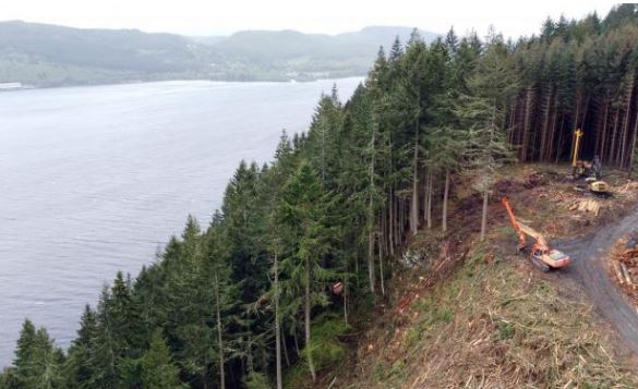 强强联合：Tilhill收购专业木材采伐公司，拓展复杂林业环境作业能力(图1)