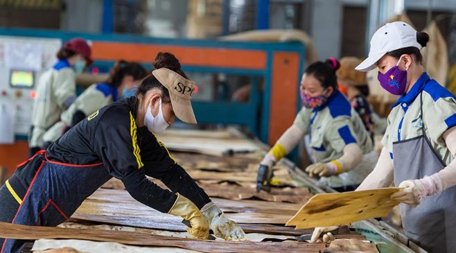 木材行业迎来黄金机遇？越南：已超越中国，考虑在美建厂(图3)