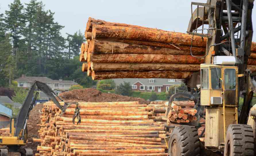 这地最新采伐数据披露：原木减少14%(图2)