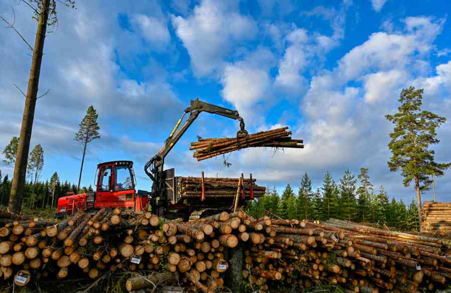 这地最新采伐数据披露：原木减少14%(图3)