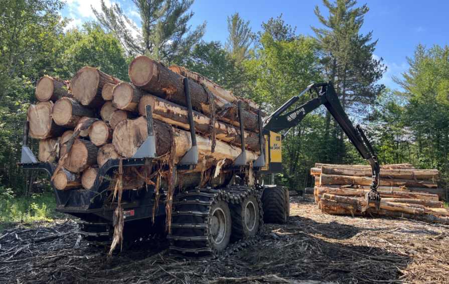 量缩价升！原木短缺、锯材过剩，中国买家如何破局？(图1)