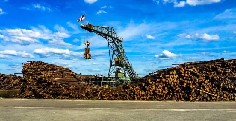 木材巨头陆续关停两家工厂，已造成近300人失业！当地：会帮助就业(图2)