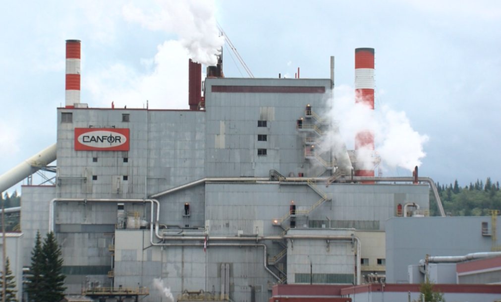 木材巨头陆续关停两家工厂，已造成近300人失业！当地：会帮助就业(图1)