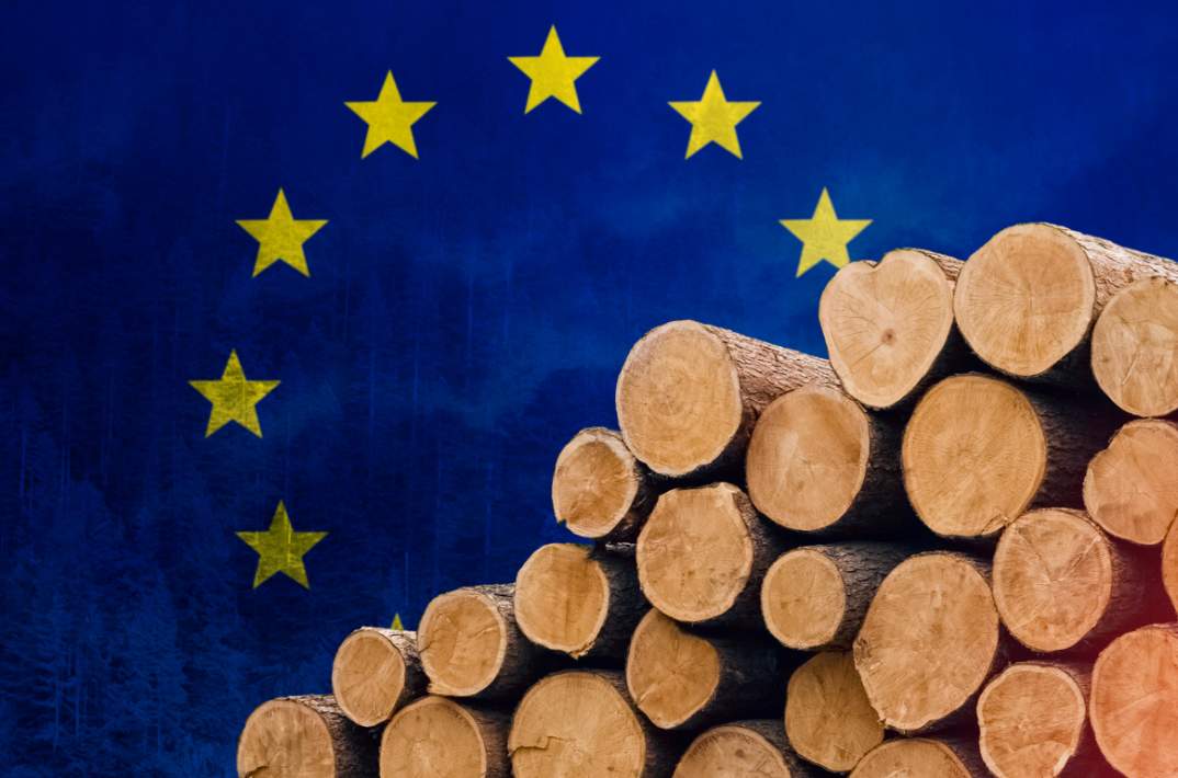 欧盟给美国“低风险”标签，被批或为非法毁林开绿灯(图1)