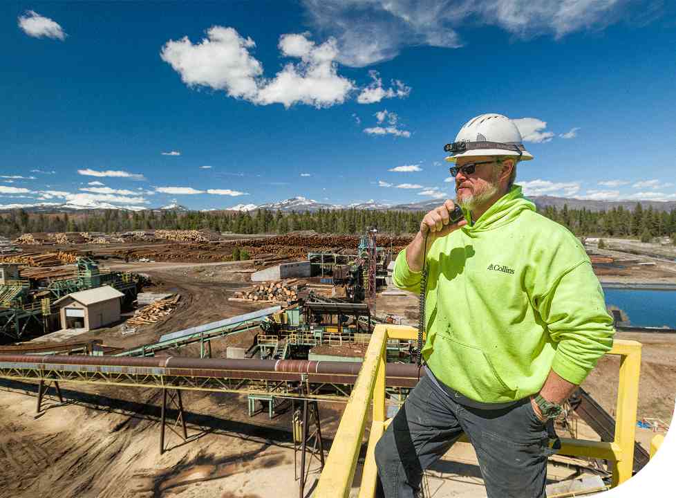 柯林斯松树完成刨花板及壁板设施出售，克罗诺集团接手(图2)