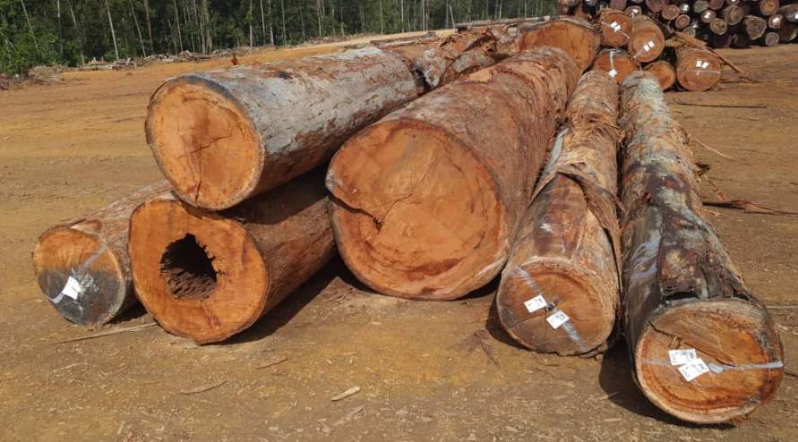 马来西亚木材行业承压：对华出口量减价升，短期难见回暖(图2)