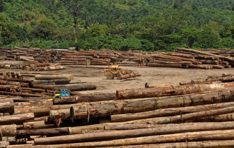 马来西亚木材行业承压：对华出口量减价升，短期难见回暖(图1)