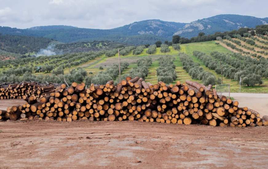 马来西亚木材行业承压：对华出口量减价升，短期难见回暖(图4)