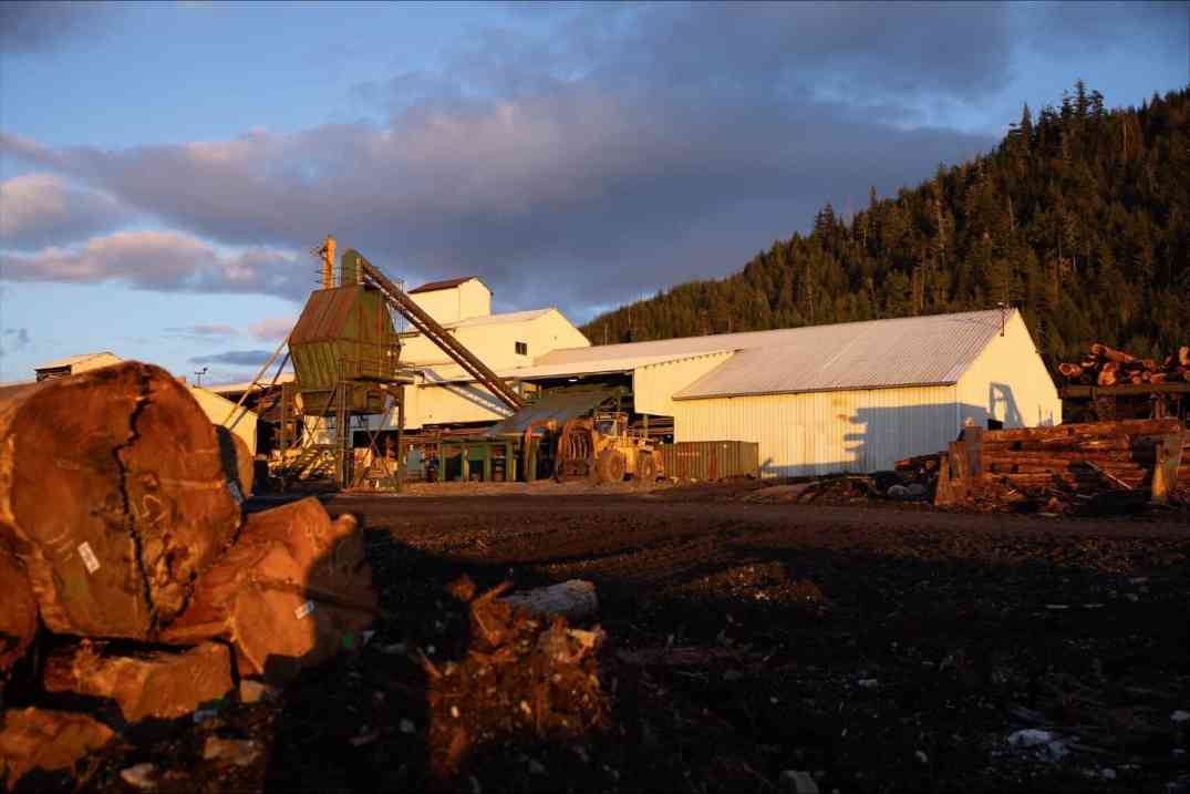 阿拉斯加伐木争议升级：议员力促增产，音乐产业面临“断材”危机(图3)