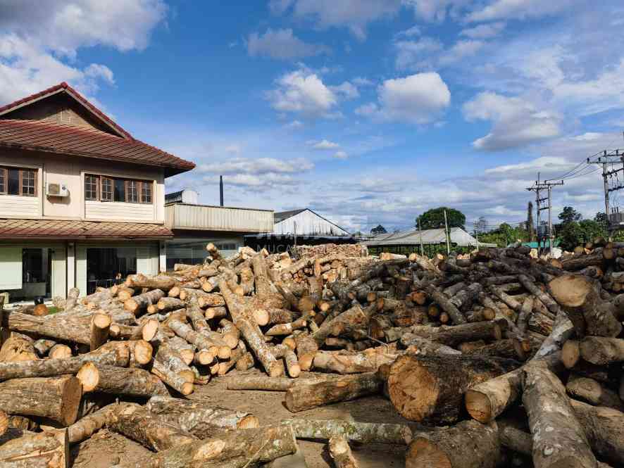 下一个涨价风暴眼？橡胶木短缺警报拉响！中国厂家要越买越贵了？(图2)