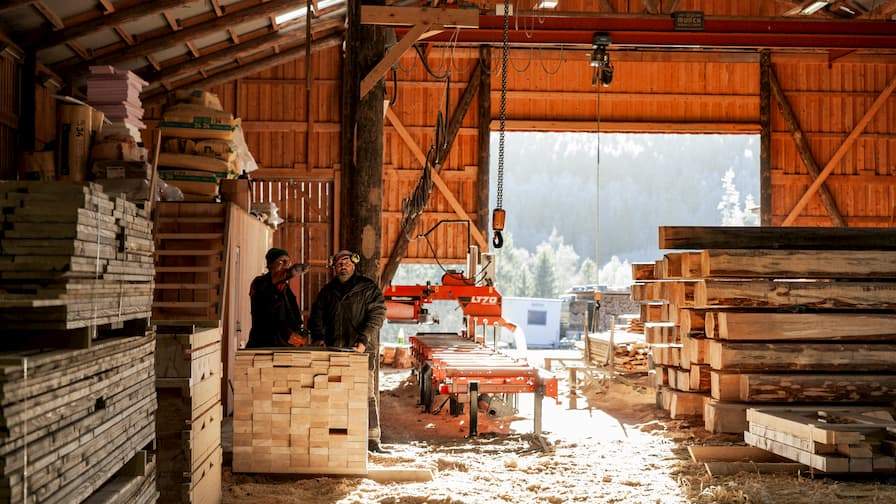 全部木质建筑材料！辉佛集团可持续自动化锯木厂正式运行(图2)