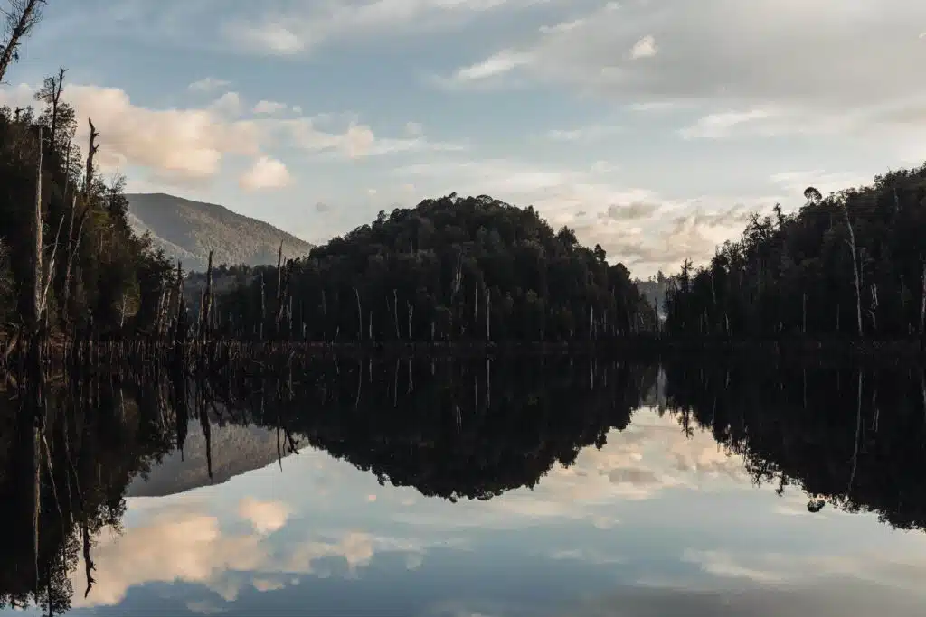 水下“木材宝库”待开发：Hydrowood迎重大投资，塔斯马尼亚区域就业链将受益(图2)