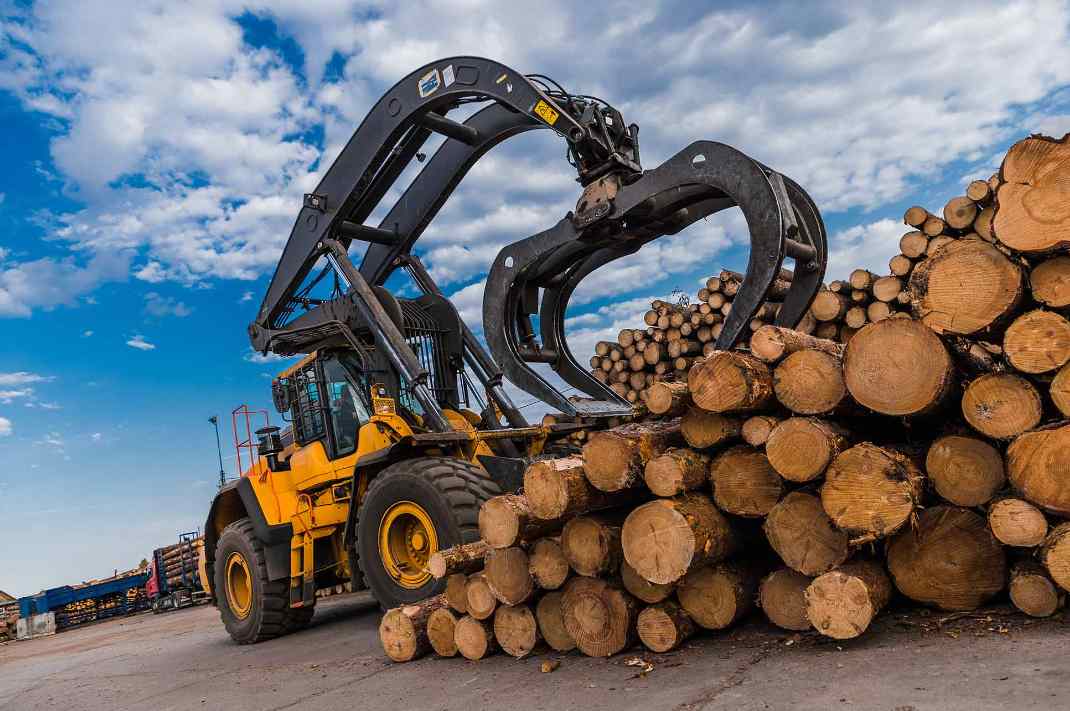 欧盟原木进口额增长16% 针叶原木主导市场(图3)