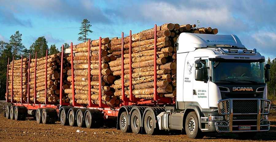 芬兰圆木贸易量持续增长 但中国市场进口锐减(图1)