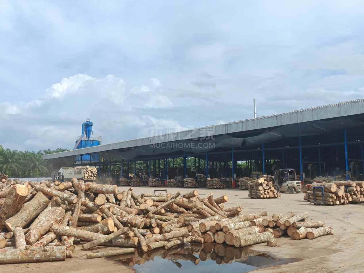 中国泰国橡胶木锯材进口量价双升，市场趋势分析(图1)