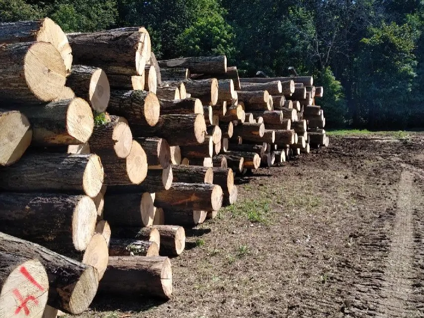 加州森林野火研究:私营工业林地严重火灾风险比公共土地高1.5倍,结构差异成主因(图2) 加州森林野火研究:私营工业林地严重火灾风险比公共土地高1.5倍,结构差异成主因(图2)