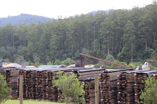 面向全州，这地1000万木材种植园补贴正在发放！(图2)