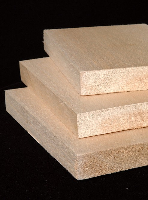 超轻木材巴沙木引领浮动新能源革命(图1)