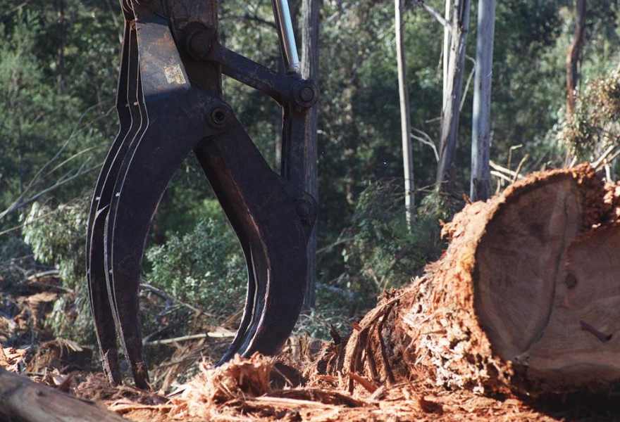 智利比奥比奥大区林业出口现增长与下滑双面表现(图2)